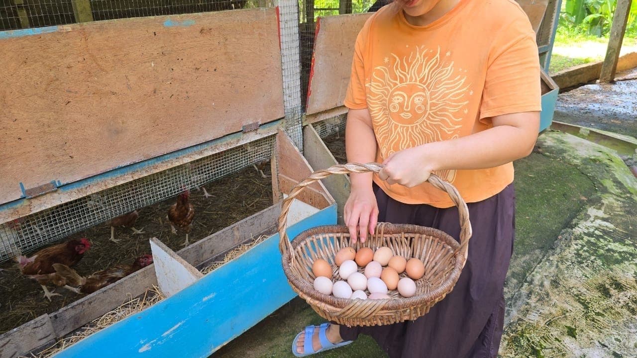 Farm-fresh vegetarian meals