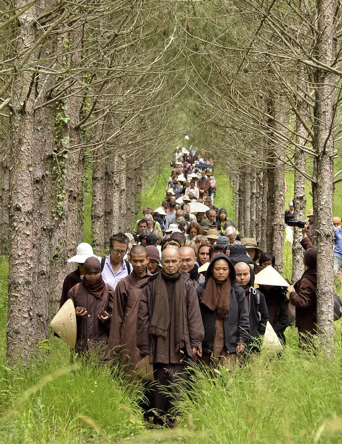 Thich Nhat Hanh leading walking meditation with the community through a forest path
